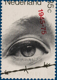 Kavel 4482