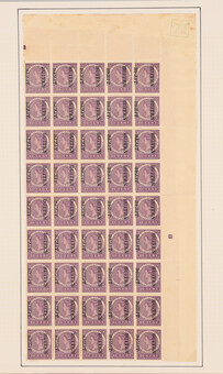 Kavel 4799
