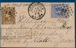 Lot 3503