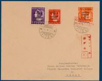 Kavel 3196