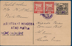 Lot 3313