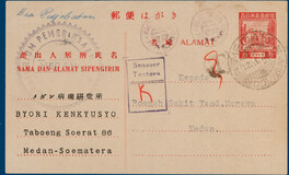 Lot 3310