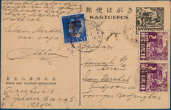Lot 3309