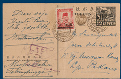 Lot 3345