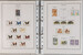 Kavel 1637 (132)