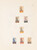 Kavel 1586 (256)