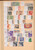 Kavel 1001 (1043)