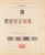 Lot 1004 (47)