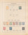 Lot 1004 (72)