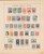 Lot 1004 (269)