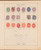 Lot 1004 (436)