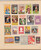 Lot 1004 (794)