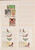 Kavel 1041 (113)
