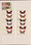 Kavel 1046 (114)