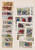 Kavel 1042 (10)