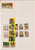 Kavel 1042 (42)