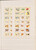 Kavel 1270 (12)