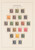 Kavel 1243 (41)