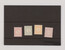 Kavel 3736 (10)