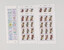 Kavel 3821 (5)