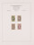 Kavel 3619 (8)