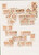 Kavel 3158 (2)