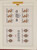 Kavel 1096 (267)