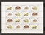 Lot 1125 (22)