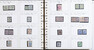 Lot 1010 (16)