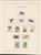 Kavel 1186 (116)
