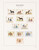 Kavel 1168 (68)