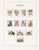 Kavel 1168 (71)