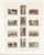 Kavel 1261 (69)