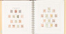 Kavel 3662 (19)