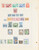 Lot 1008 (254)