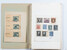 Lot 1013 (65)