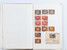 Lot 1013 (72)