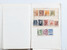 Lot 1013 (86)