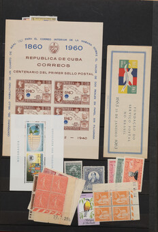 Lot 1015