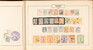 Kavel 1009 (5)