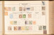 Kavel 1009 (442)