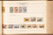 Kavel 1009 (492)