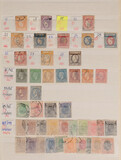 Lot 1259