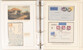 Lot 3102 (10)