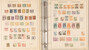 Lot 3102 (19)