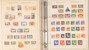 Lot 3102 (20)