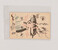 Lot 3099 (5)