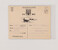 Lot 3099 (7)