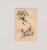 Lot 3099 (33)