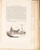 Kavel 3107 (13)